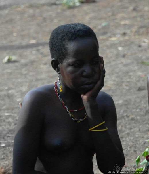 Жизнь и типажи кома