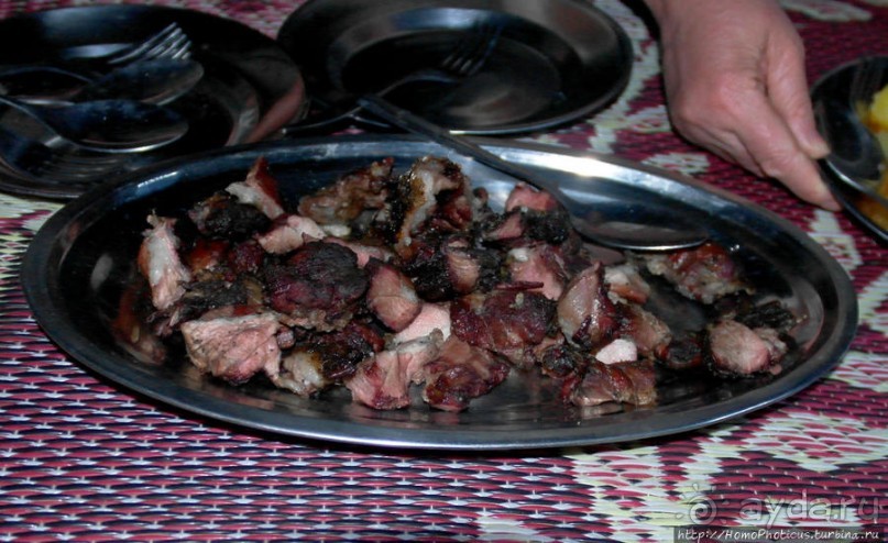 Жизнь и типажи кома