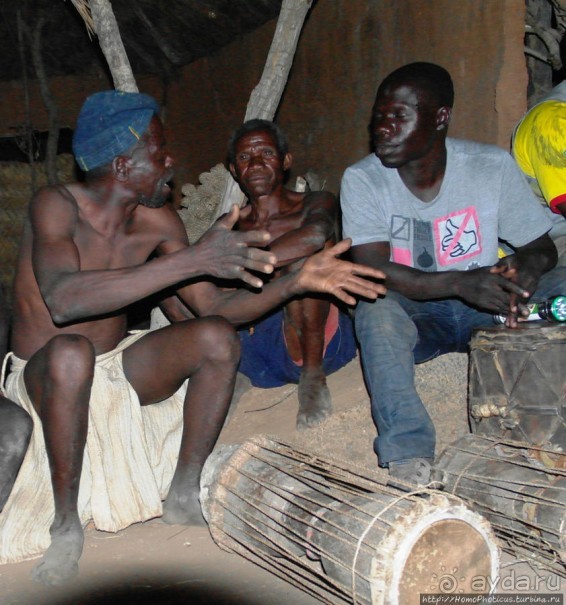 Жизнь и типажи кома