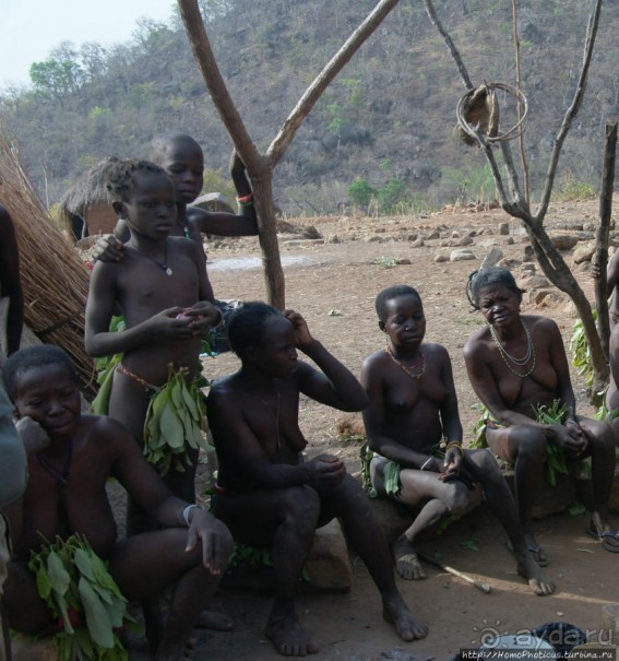 Жизнь и типажи кома