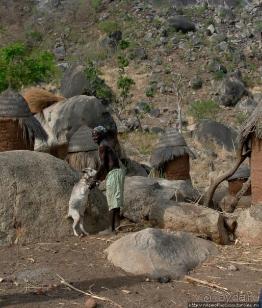 Жизнь и типажи кома