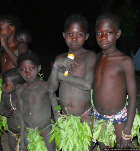 Жизнь и типажи кома