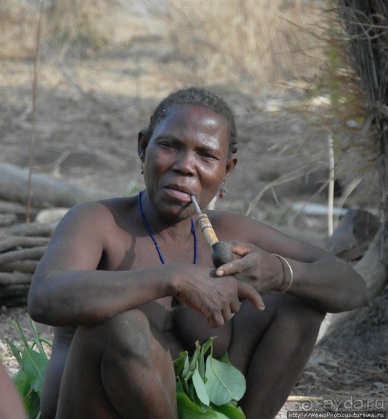 Жизнь и типажи кома