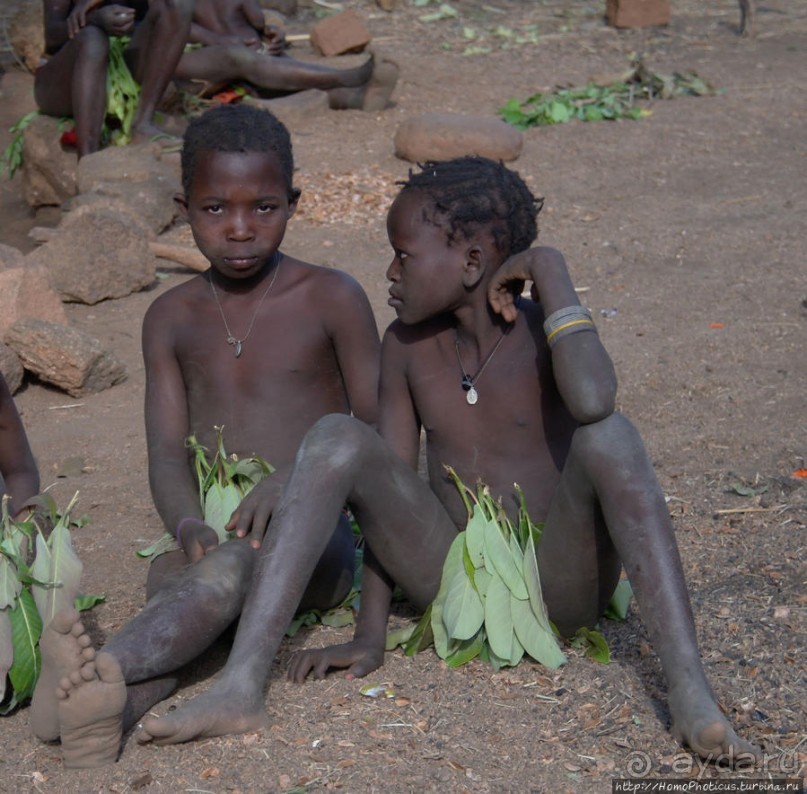 Жизнь и типажи кома