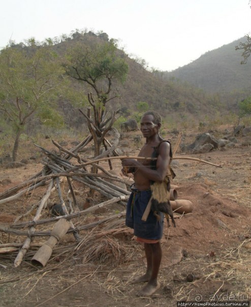 Жизнь и типажи кома