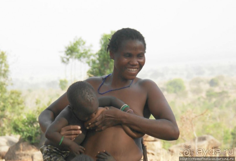 Жизнь и типажи кома