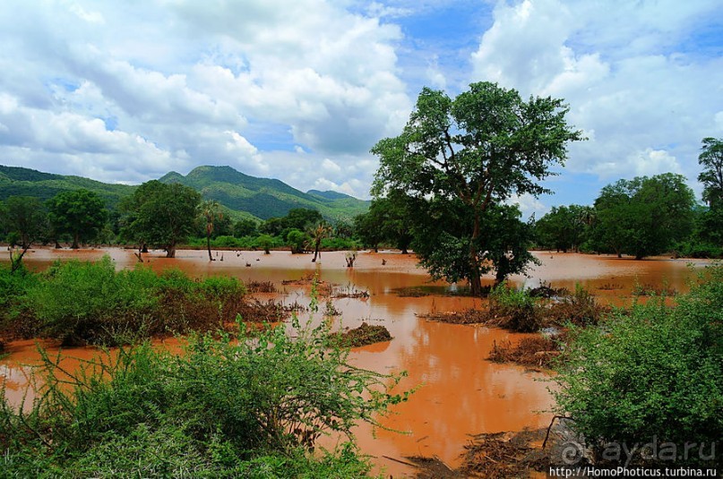 Этнография долины Омо: земля уэйто и цамай