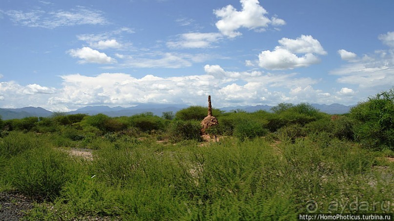 Этнография долины Омо: земля уэйто и цамай