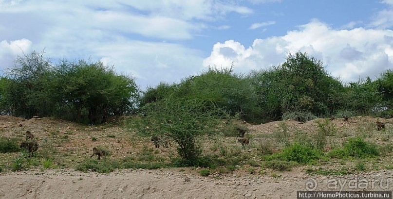 Этнография долины Омо: земля уэйто и цамай