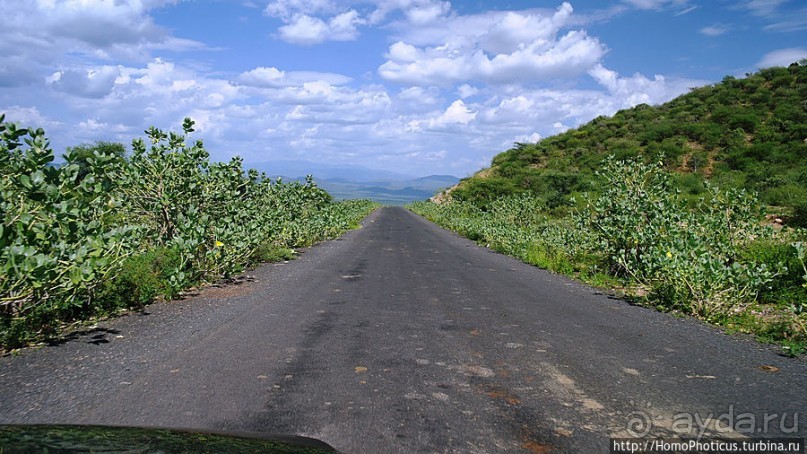 Этнография долины Омо: земля уэйто и цамай