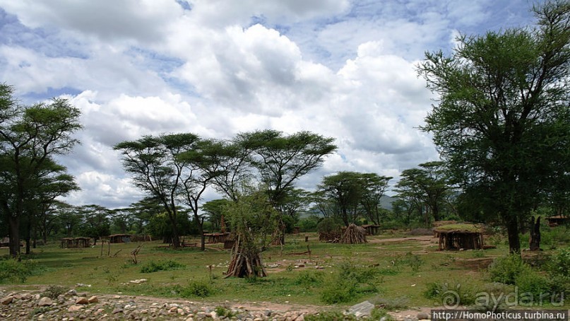 Этнография долины Омо: земля уэйто и цамай