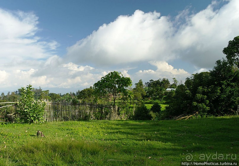 Этнография Эфиопии: деревня дорзе