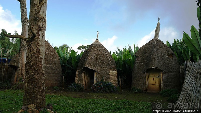 Этнография Эфиопии: деревня дорзе
