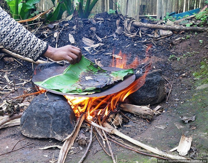 Этнография Эфиопии: деревня дорзе