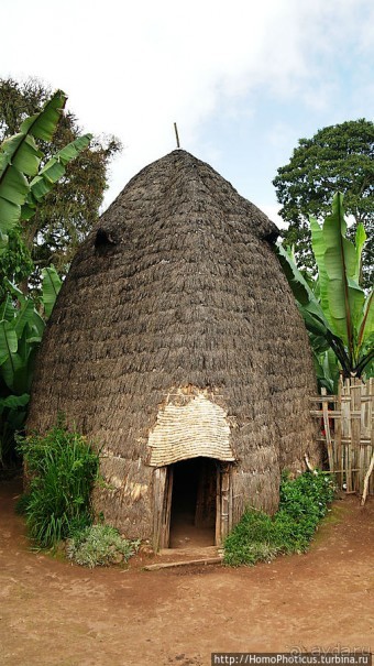 Этнография Эфиопии: деревня дорзе