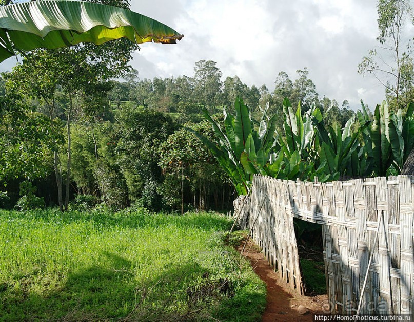 Этнография Эфиопии: деревня дорзе