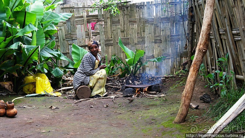 Этнография Эфиопии: деревня дорзе