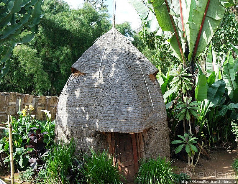 Этнография Эфиопии: деревня дорзе