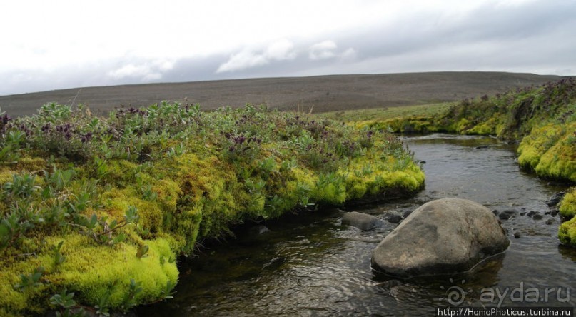 Центр Пустоты. От Геи к Деметре