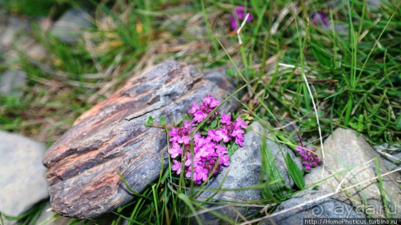 Центр Пустоты. От Геи к Деметре