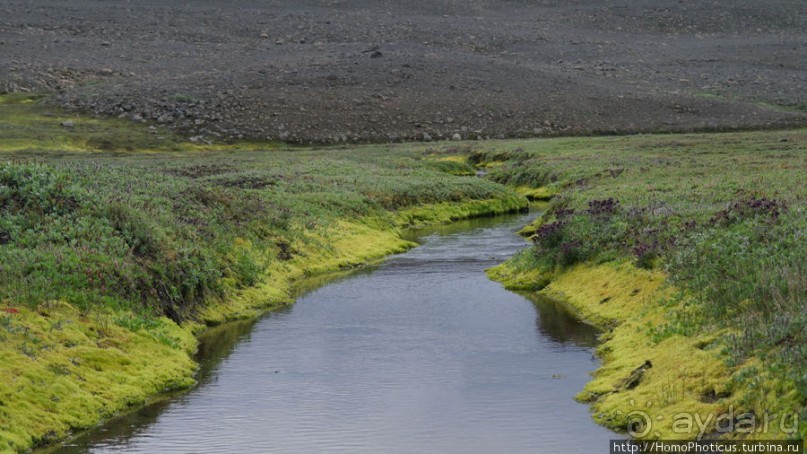 Центр Пустоты. От Геи к Деметре
