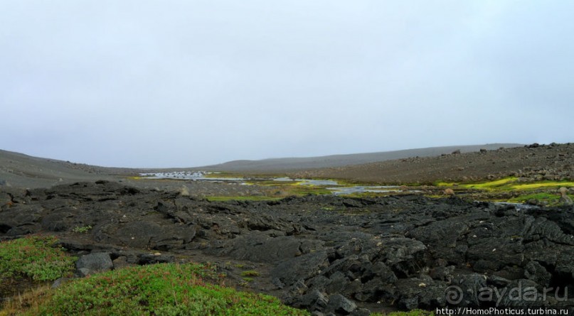 Центр Пустоты. От Геи к Деметре