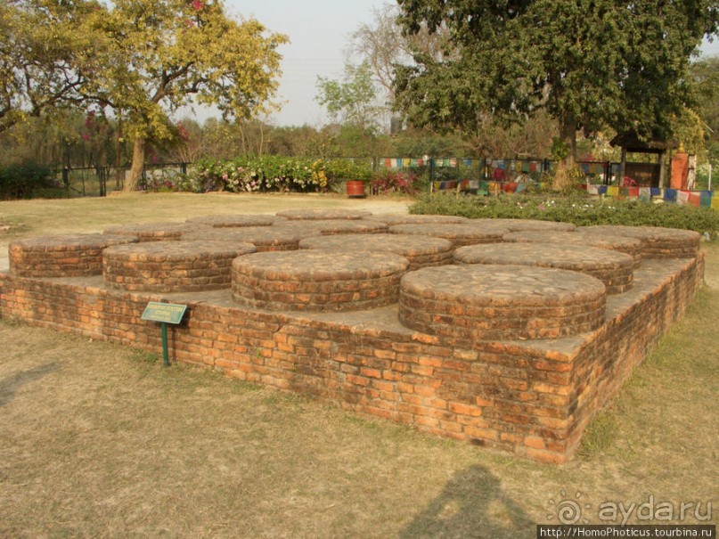 Альбом отзыва "Рождение Сиддхартхи"