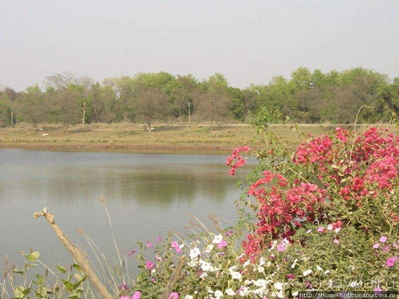 Альбом отзыва "Рождение Сиддхартхи"