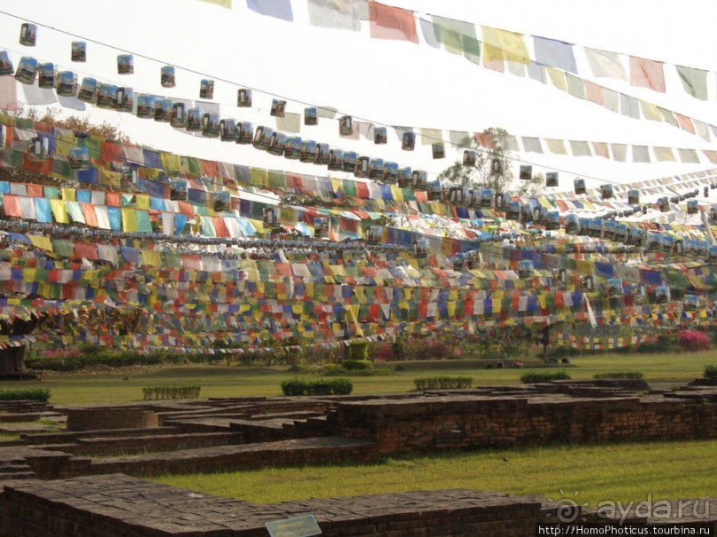 Альбом отзыва "Рождение Сиддхартхи"