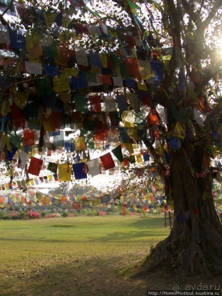 Альбом отзыва "Рождение Сиддхартхи"