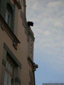 Альбом отзыва "Январь в Таллин(н)е"