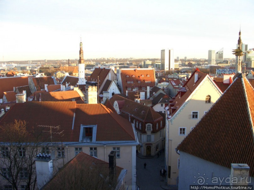 Альбом отзыва "Январь в Таллин(н)е"