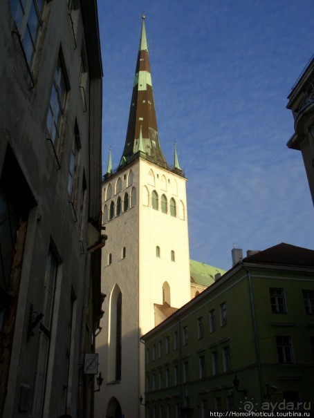 Альбом отзыва "Январь в Таллин(н)е"