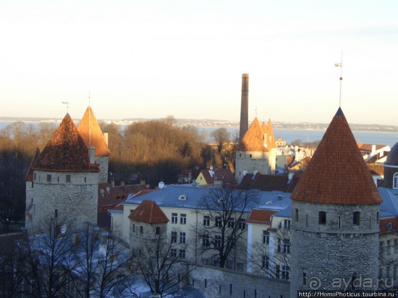 Альбом отзыва "Январь в Таллин(н)е"
