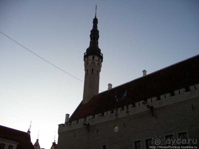 Январь в Таллин(н)е