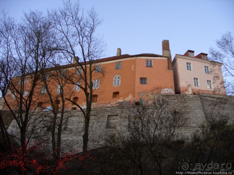 Январь в Таллин(н)е