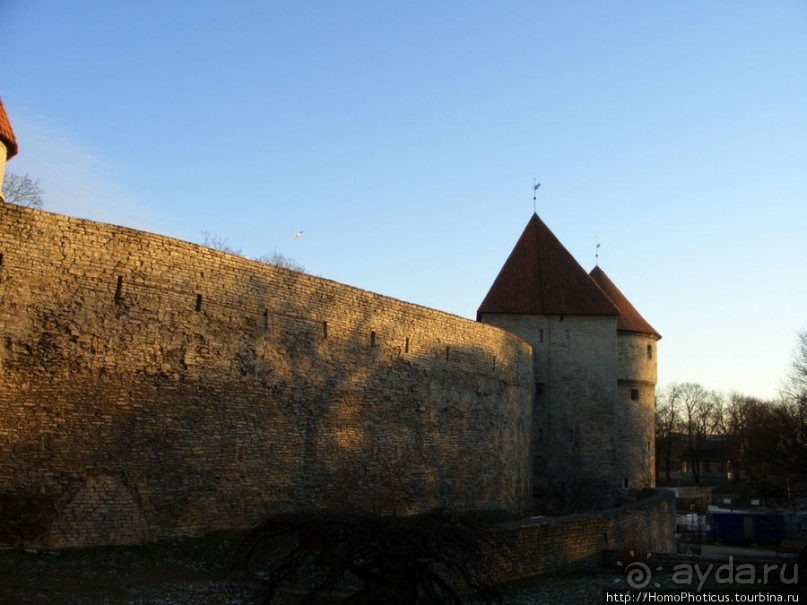 Январь в Таллин(н)е