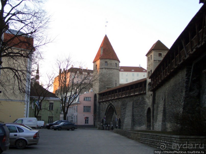 Январь в Таллин(н)е