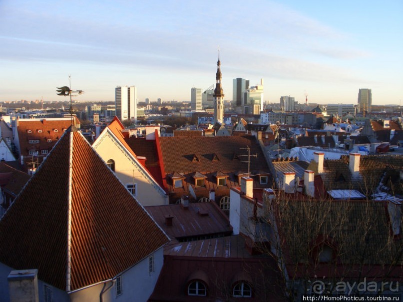 Январь в Таллин(н)е