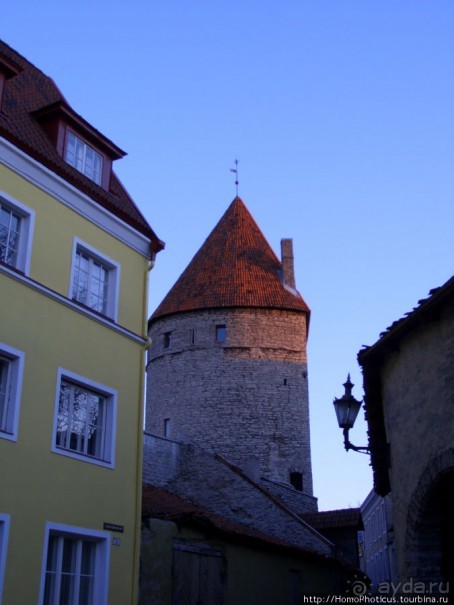 Январь в Таллин(н)е