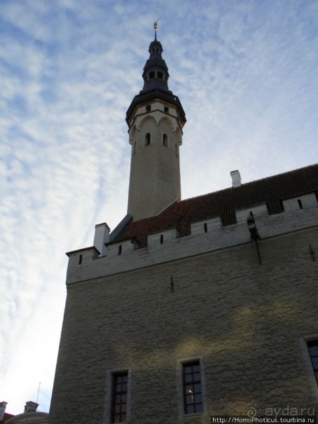 Январь в Таллин(н)е