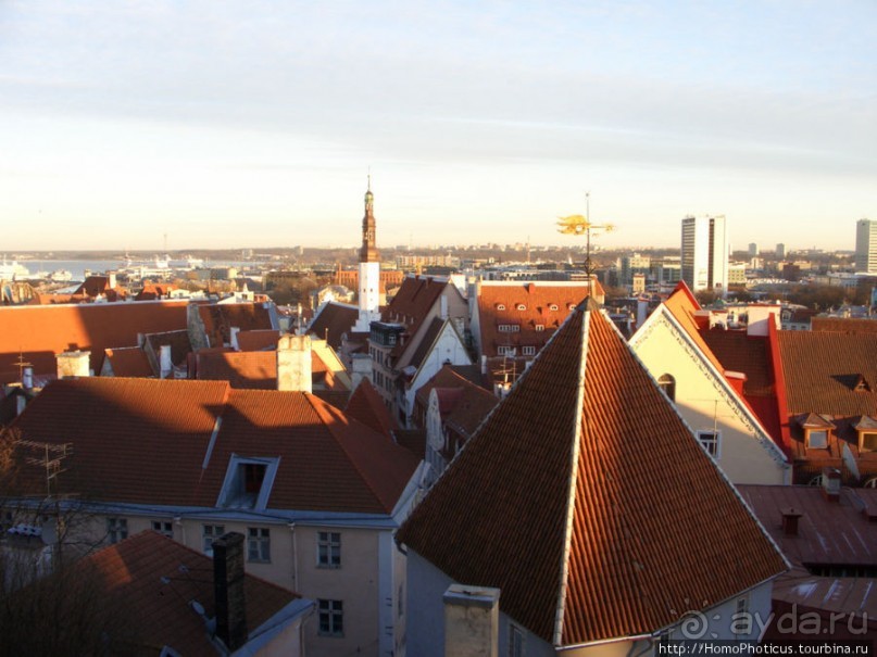 Январь в Таллин(н)е