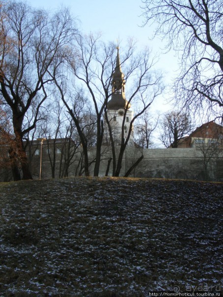 Январь в Таллин(н)е