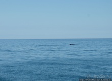 Большая горячая ледяная земля. 2. Против часовой стрелки