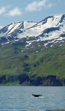 Большая горячая ледяная земля. 2. Против часовой стрелки