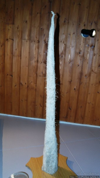 Большая горячая ледяная земля. 2. Против часовой стрелки