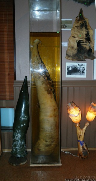 Большая горячая ледяная земля. 2. Против часовой стрелки