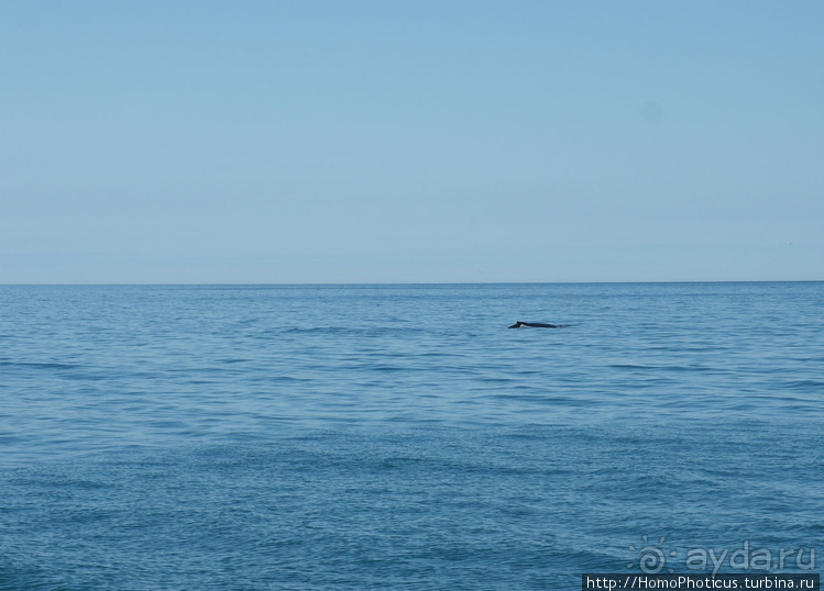 Большая горячая ледяная земля. 2. Против часовой стрелки