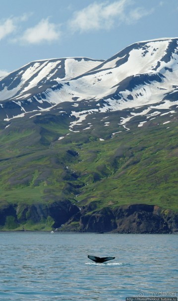 Большая горячая ледяная земля. 2. Против часовой стрелки