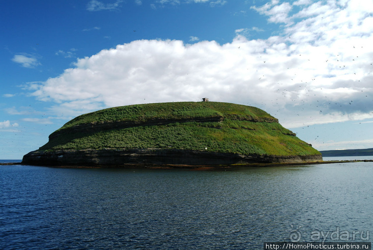 Большая горячая ледяная земля. 2. Против часовой стрелки